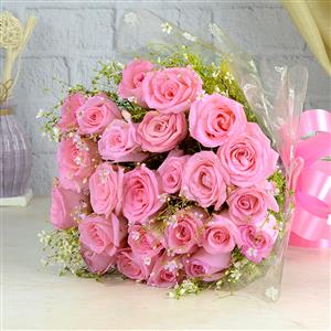 Sweet Pink Roses