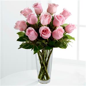 Alluring Pink Roses