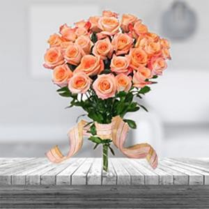 Lovely Peach Roses