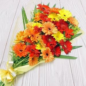 Cute Gerberas