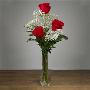 Enchanting Roses in a vase
