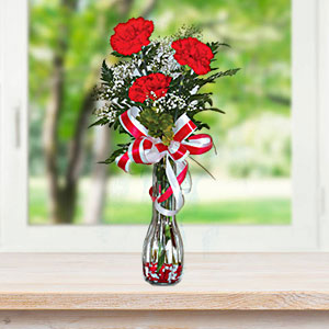 3 Carnations in a vase
