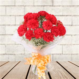 Lovely Red Carnations
