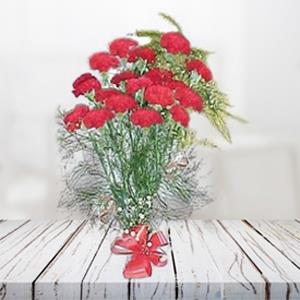 Carnations Bunch
