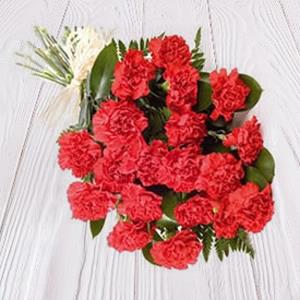 Vibrant Red Carnations