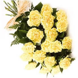 Yellow Carnations