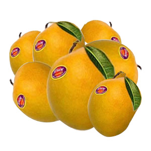 24 Pieces of Alphanso Mango