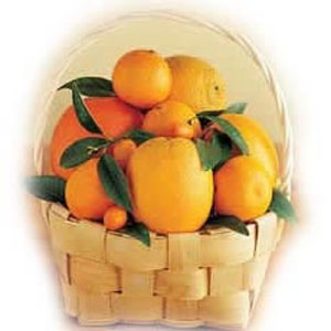 12 Pieces Orange Basket