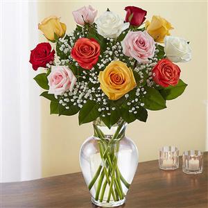 12 Mixed Roses in Vase