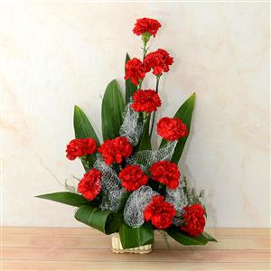 12 Red Carnation Basket