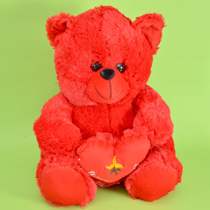 Adorable Teddy for U