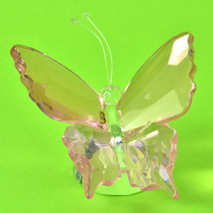 Butterfly Showpiece