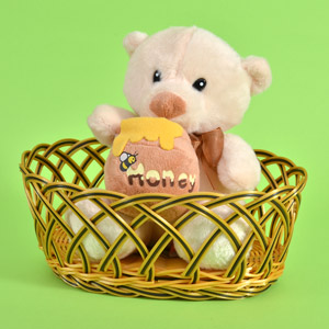 Teddy in Basket