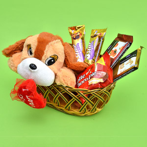 Puppy with Chocolates