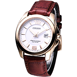 Analog Wrist Watch