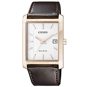 Stunning Citizen Timepiece