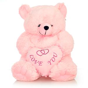 Adorable Pink Teddy