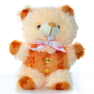 Beautiful soft Light yellow and brown teddy