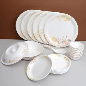 Servewell Dinner 21 Pieces