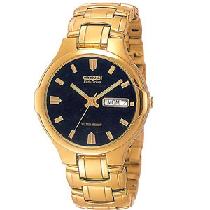 Citizen Dress 16