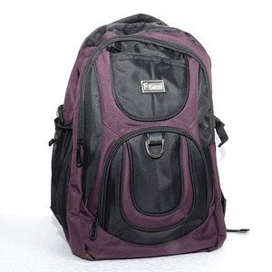 Magenta Backpack