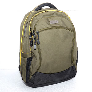 Grey Colored School Bag