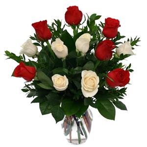 Red and White Roses Bunch in a Vase - Midnight