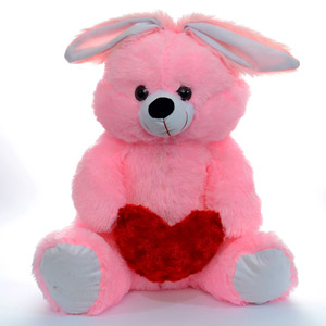Pink Bunny With a Heart