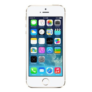 Apple iPhone 5S (Gold, with 32 GB)