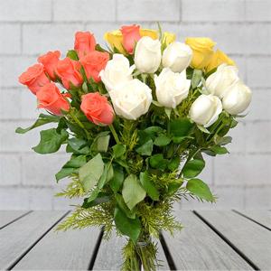 White, Yellow & Orange Rose