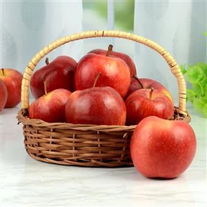 Healthy Apple Treat