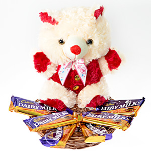 Cute Teddy with Yummilicious Chocolates