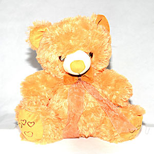 Golden Colored Teddy Bear