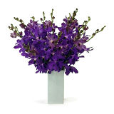 15 Purple Orchids in a Glass Vase