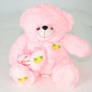 I Love You Pink Teddy