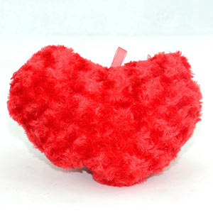 Red Heart Cushion with Hidden Teddy