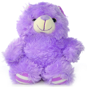 Beautiful Purple Teddy