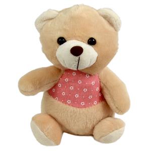 Sweet Teddy Bear