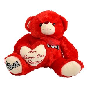 For Someone Special Love Teddy Bear