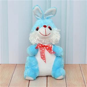 White and Sky Blue Bunny