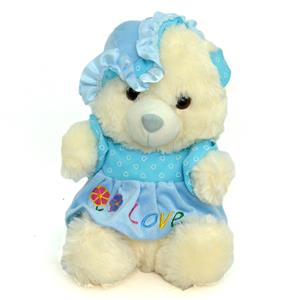 Very Cute Blue Teddy