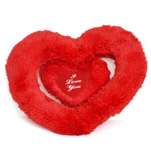 Enchanting Red Heart Cushion