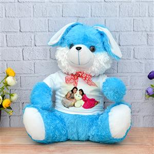 Blue Cute Teddy Rabbit