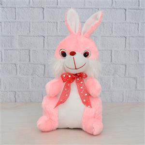 Pink & White Bunny