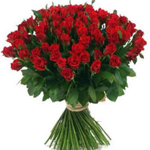50 Enchanting Red Roses Bunch