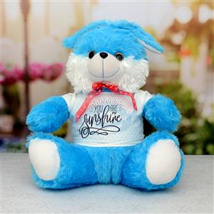 You Are Sunshine Blue Teddy