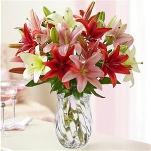 6 Stem lily in glass vase