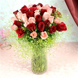 36 Pink & Red Roses in a Vase