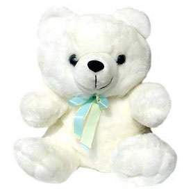 Cute Teddy (Midnight)