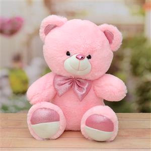 Adorable & Soft Pink Teddy Bear 
